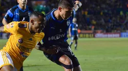 ¡Busca Gallos! El nuevo apuntado por Atlas