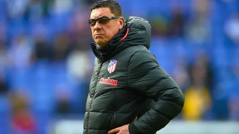 Foto del Mono Burgos.