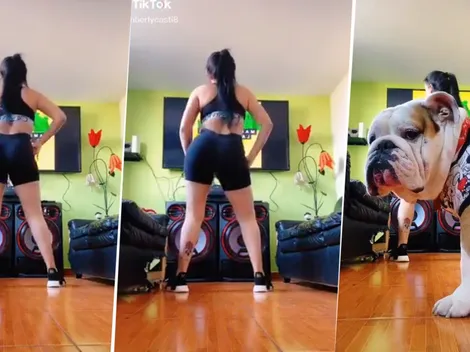 Video viral: ella estaba haciendo un Tik Tok y un perro diabólico le arruinó todo