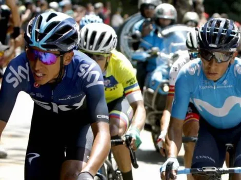 La propuesta para que los escarabajos puedan correr las competencias internacionales