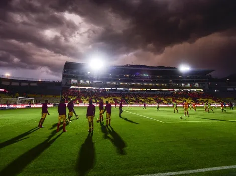 ¿Nacen los Delfines? Monarcas podría mudarse de Morelia a Mazatlán