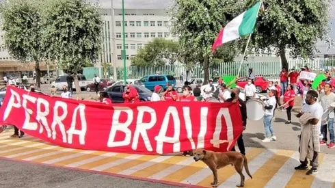 ¡Enorme! El gesto de la Perra Brava con personal médico de Toluca