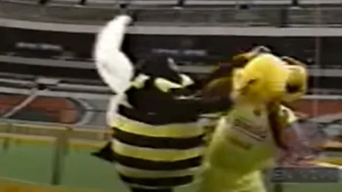 La 'abejita' de Otro Rollo atacó a las mascotas en la carrera de Otro Rollo.