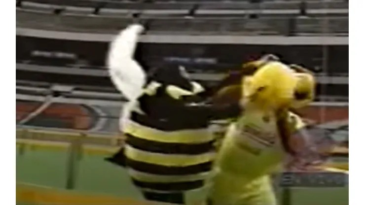 La 'abejita' de Otro Rollo atacó a las mascotas en la carrera de Otro Rollo.
