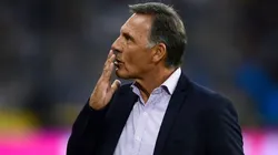 ¿Será tenido en cuenta por Miguel Ángel Russo?