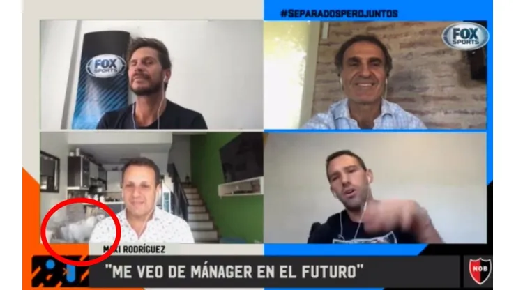 El video del día: Vignolo y Ruggeri se tentaron al ver a los perros del Cholo Sottile matándose en vivo
