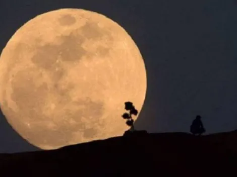Cómo y cuándo ver la Luna de las Flores