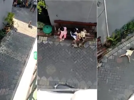 Video viral: un mono diabólico llegó en moto e intentó secuestrar a una niña