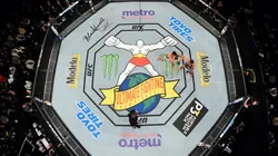 Vuelve la actividad de las artes marciales mixtas