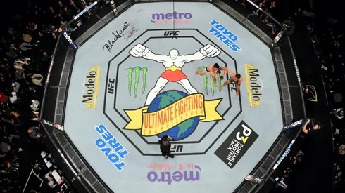 Vuelve la actividad de las artes marciales mixtas