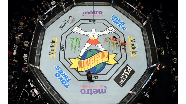 Vuelve la actividad de las artes marciales mixtas