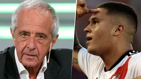 D'Onofrio respondió sobre la supuesta llamada de Gallardo a Quintero