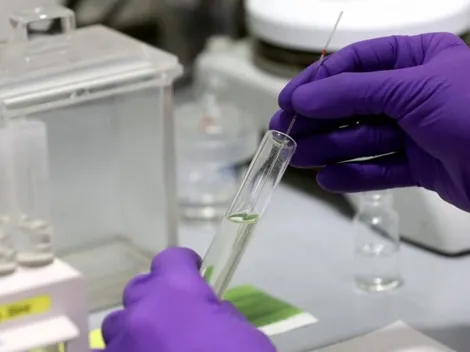 Hay esperanza: un importante número de pacientes se han recuperado del coronavirus en Colombia