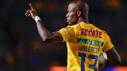 Sufre Tigres: agente de Valencia confirmó cuál es su deseo