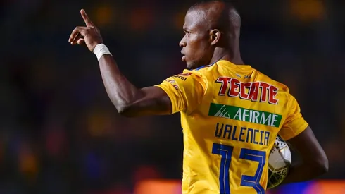 Sufre Tigres: agente de Valencia confirmó cuál es su deseo