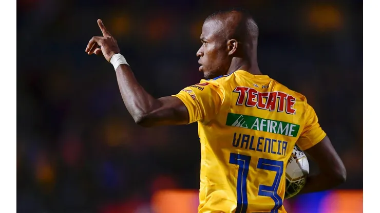 Sufre Tigres: agente de Valencia confirmó cuál es su deseo