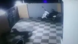 Video impresionante: perro se defiende del ataque de un jaguar