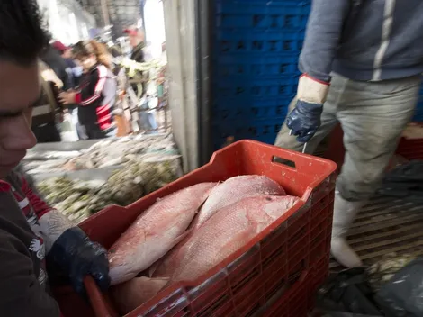 ¿Qué ocurrió con la Sana Distancia? Así lució el Mercado de La Viga en este jueves santo