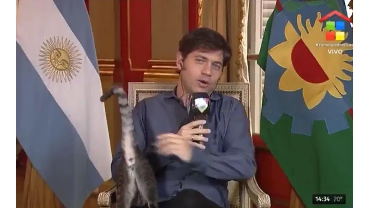 Video: a Kiciloff se le subió un gato encima en plena entrevista