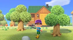 Animal Crossing: New Horizons.