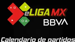 e.ligamx.net