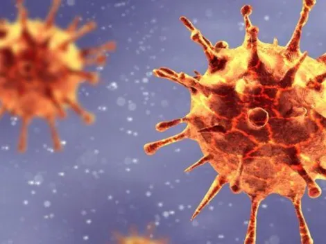 ¿Animal o químico? El origen del Covid-19