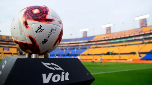 Los dueños quieren reanudar con Liguilla y así se jugaría