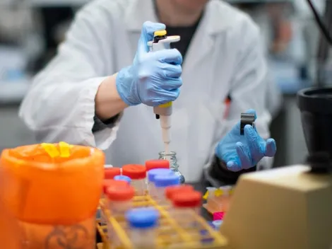 Científicos argentinos estudian el nuevo tratamiento contra el coronavirus