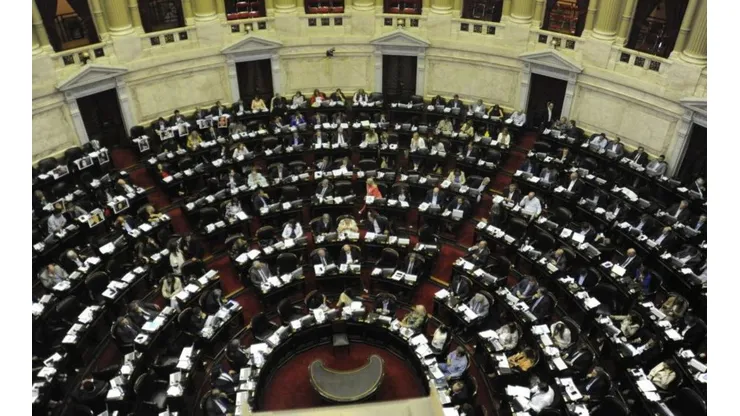 Gobierno analiza recortar el 40% de los sueldos de los diputados