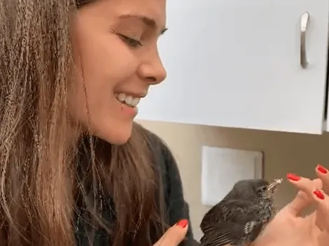 Mató a todos de ternura: Greeicy salvó pajarito enfermo que iba a ser devorado por gatos