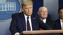 Donald Trump, presidente de Estados Unidos.