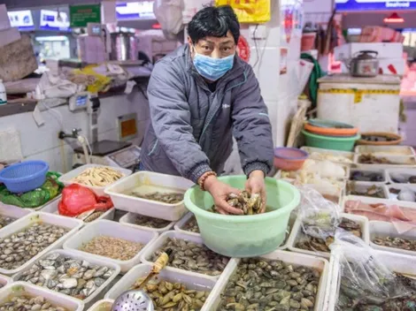 Volvieron a vender murciélagos en el lugar donde se originó el coronavirus