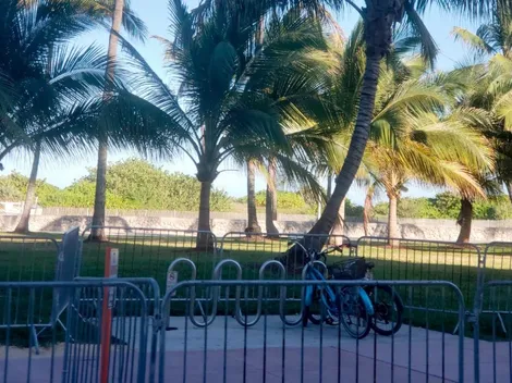 Miami decreta toque de queda en medio de la emergencia mundial por Coronavirus