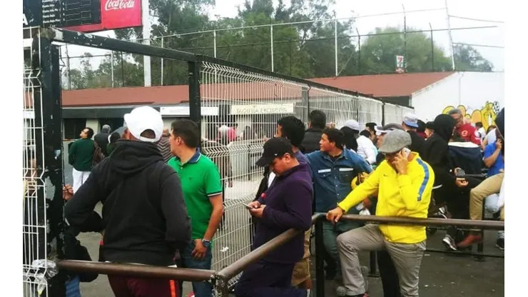 Revendedores pierden dinero por coronavirus