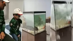 El padre del año: aprovechó la cuarentena para pescar con su hijo...¡dentro de su casa!