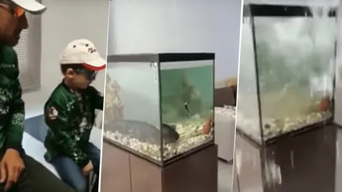 El padre del año: aprovechó la cuarentena para pescar con su hijo...¡dentro de su casa!