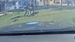 El momento de las detenciones.