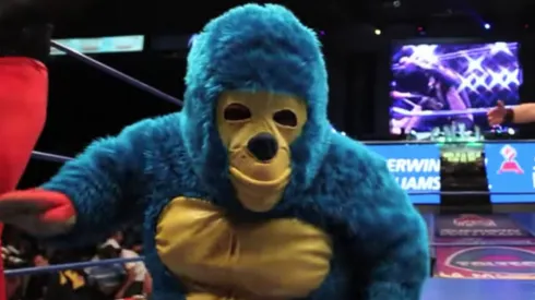 ¡Se enojó! Kemonito estalla contra los que usurpan su imágen