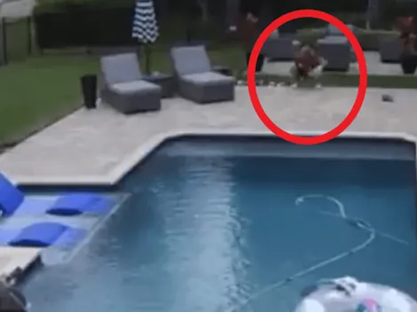 Video: con piscina de por medio entrena el receptor de los Colorado Rockies