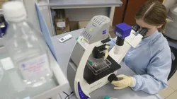 Los trabajos científicos son vitales en estos momentos.