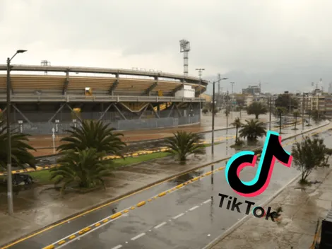 En tiempos de aislamiento obligatorio hay un Tik Tok que la rompe