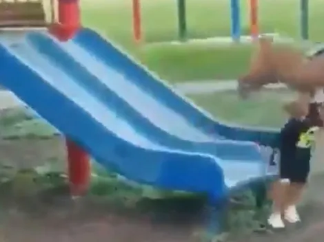 Video viral: este perro se puso diabólico al ver jugar a su dueño