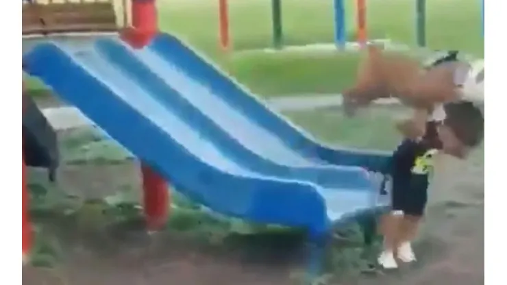 Video viral: este perro se puso diabólico al ver jugar a su dueño