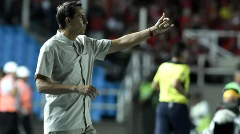 Alexandre Guimaraes, DT de América de Cali.