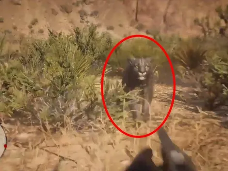 Jugaba Red Dead Redemption 2 en primera persona ¡cuando fue atacado por un puma!