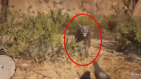 Jugaba Red Dead Redemption 2 en primera persona ¡cuando fue atacado por un puma!
