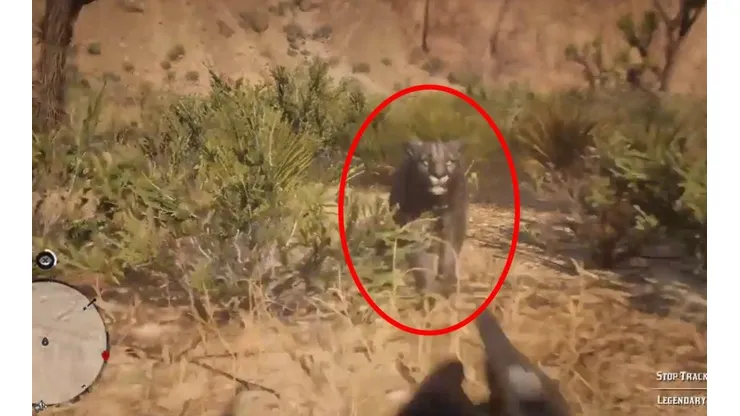 Jugaba Red Dead Redemption 2 en primera persona ¡cuando fue atacado por un puma!