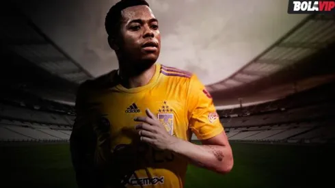 Robinho fue ofrecido a Tigres en 2014.