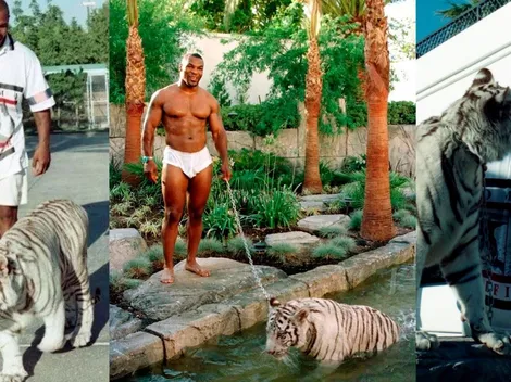 Las mascotas de los mejores deportistas del mundo