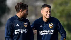 ¡Por favor! El pedido de Dos Santos a Chicharito